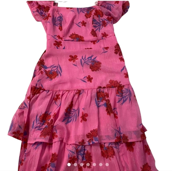 Crystal Doll Pink and Red Floral Tiered Dress - Picture 1 of 3